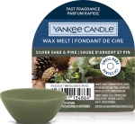 Yankee Candle - Wosk Silver Sage & Pine - 22g