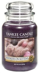 Yankee Candle - Duży słoik Whiskers on Kittens - 623g