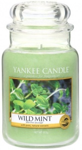 Yankee Candle - Duży słoik Wild Mint - 623g