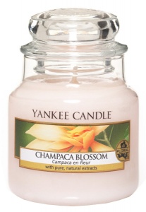 Yankee Candle - Mały słoik Champaca Blossom - 104g