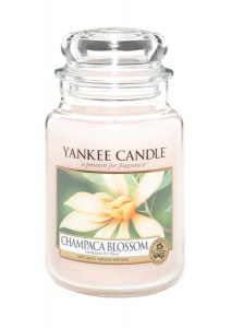 Yankee Candle - Duży słoik Champaca Blossom - 623g
