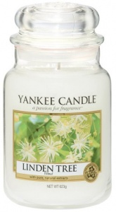 Yankee Candle - Duży słoik Linden Tree - 623g