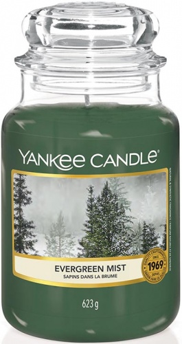 Yankee Candle - Duży słoik 5675 - 623g.jpg