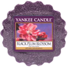 Yankee Candle - Wosk Black Plum Blossom - 22g
